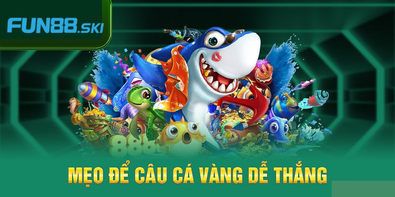 Hướng dẫn tham gia TP câu cá vàng tại Fun88